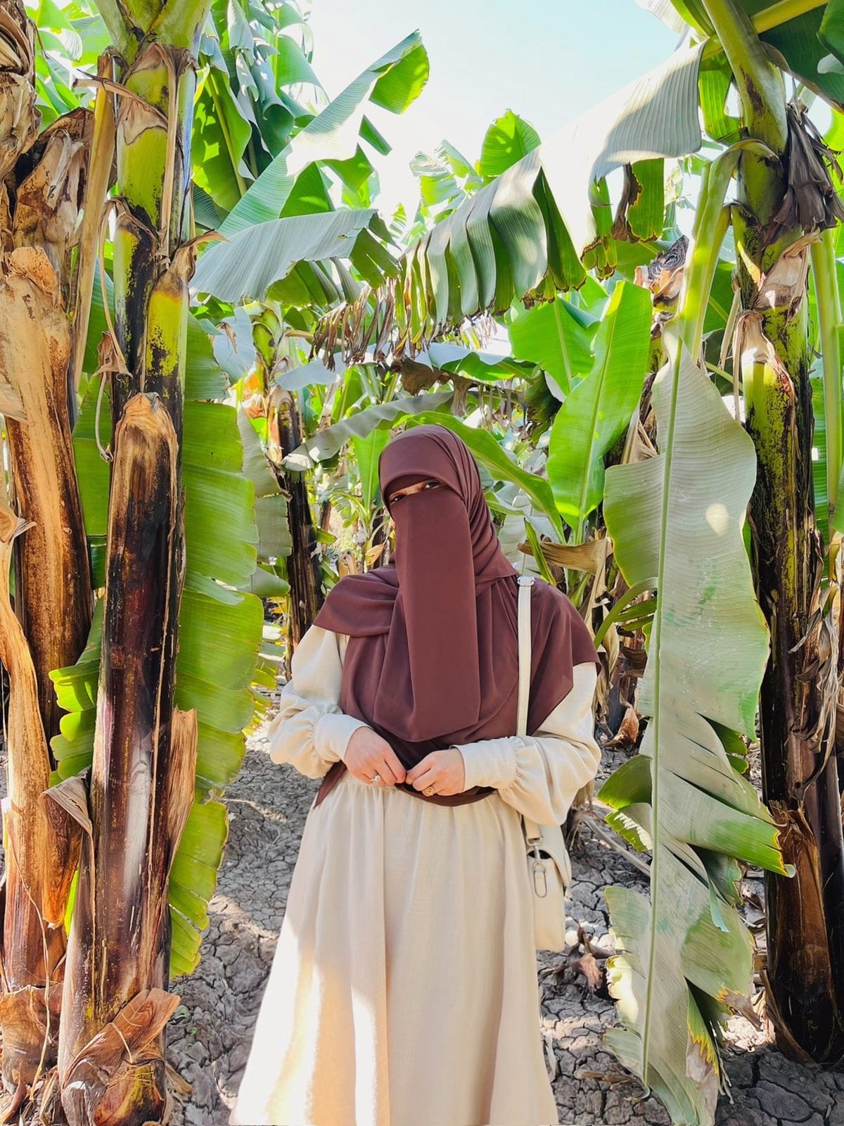 مس / أفنان محمد 