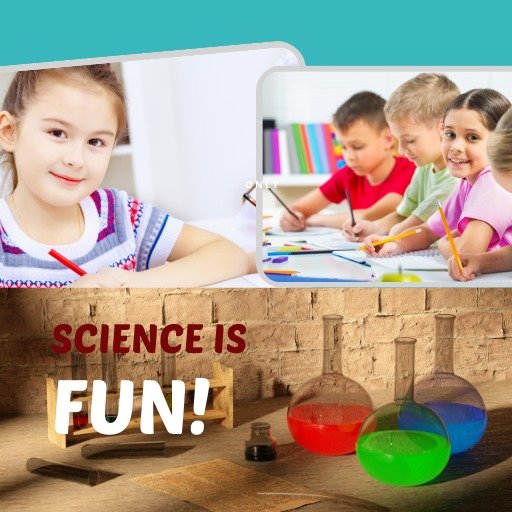 مس / تاليا محمد 